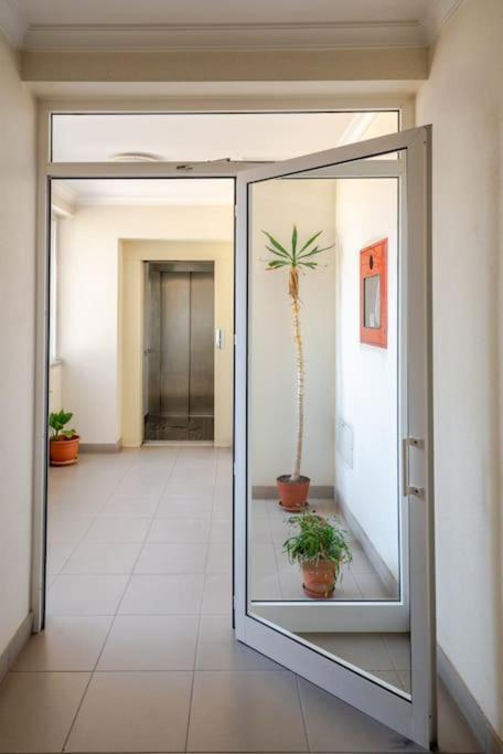 Remedios Apartment Lamego Exterior photo